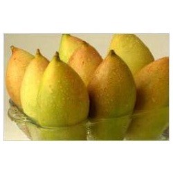 Mango Pulp Manufacturer Supplier Wholesale Exporter Importer Buyer Trader Retailer in Hyderabad Andhra Pradesh India